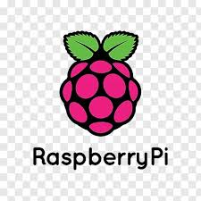 Raspberry Pi icon