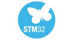 STM32 icon